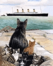 a group of cats are looking at a ship in the water
