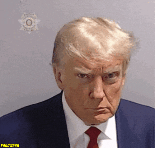 a picture of donald trump in a suit and tie with pondweed written below him
