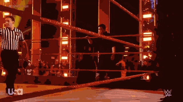 a referee stands in the middle of a wrestling ring with a usa logo in the corner