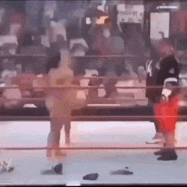 a boxing match is being played in a ring with a referee standing in the corner .