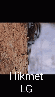a close up of a piece of wood with the words hikmet lg written on it
