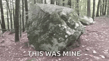 a large rock in the middle of a forest with the words this was mine below it .