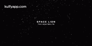 a black background with white stars and the words space lion the seatbelts on it