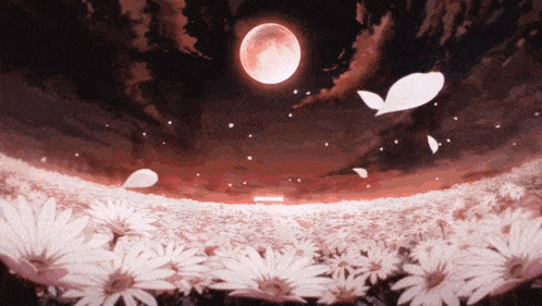 a field of daisies with a full moon in the background .