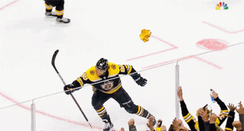 Boston Bruins Pastrank GIF - Boston Bruins Pastrank Pastrnak GIFs