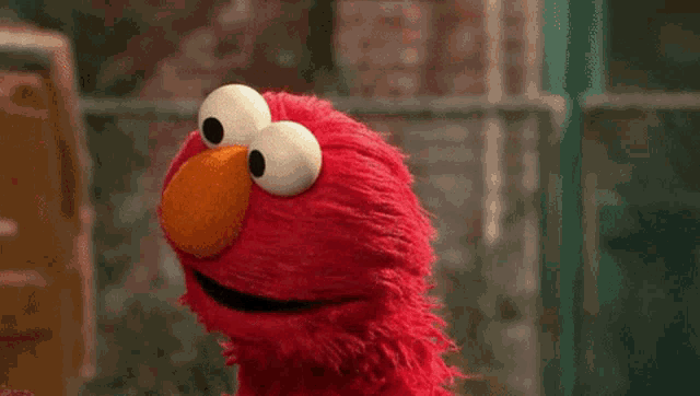 elmo from sesame street says " really " in front of a brick wall