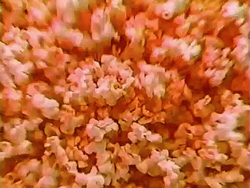Popcorn Snacks GIF - Popcorn Snacks Food GIFs