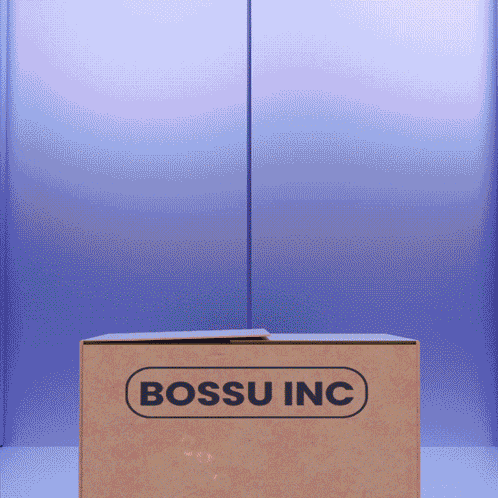 a box with bossu inc written on it