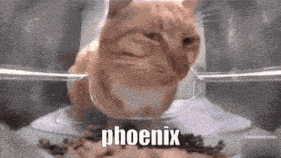 Phoenix Forenis GIF - Phoenix Forenis Abi GIFs