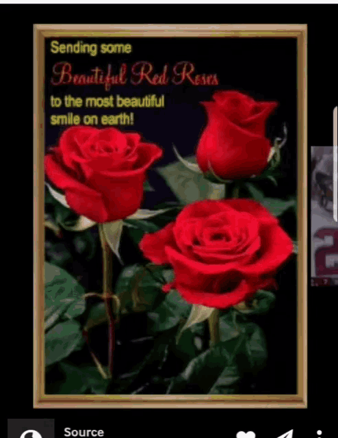 Love Beautiful GIF - Love Beautiful Roses GIFs