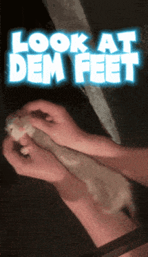 a person holding a cat with the words " look at dem feet " above them