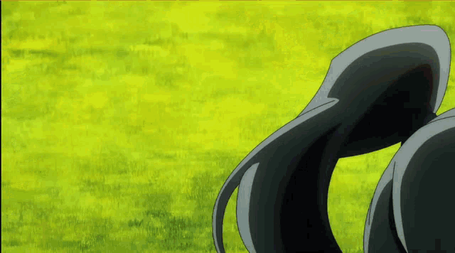 a girl with black hair in a ponytail is standing in the grass .