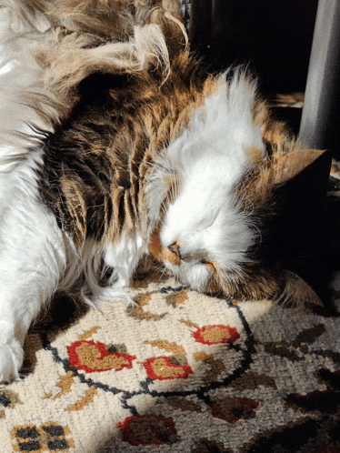 a calico cat sleeping on a rug with a floral pattern