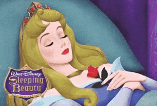 aurora from the movie sleeping beauty is laying down with a rose in her hand