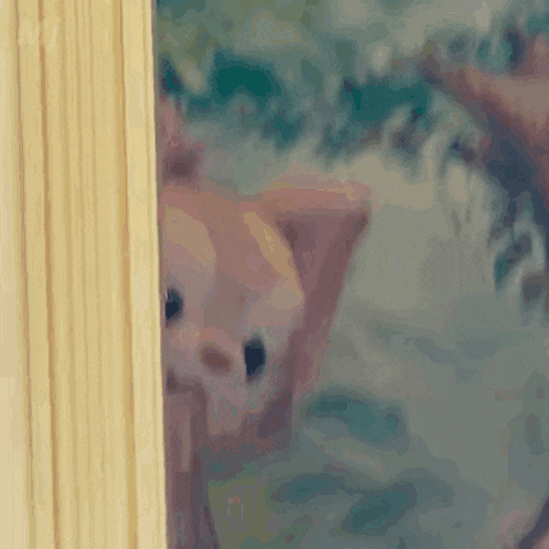 a close up of a stuffed animal peeking out from behind a door .