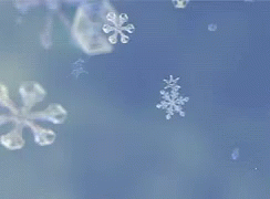 Winter Snow GIF - Winter Snow Crystals GIFs