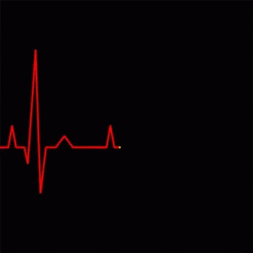 Heart Heartbeat GIF - Heart Heartbeat GIFs