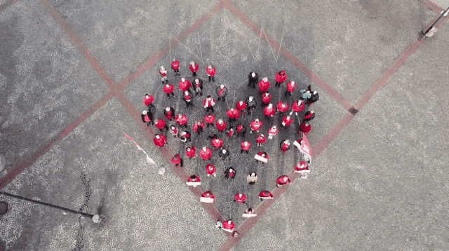 a large group of people in red shirts are standing in the shape of a heart