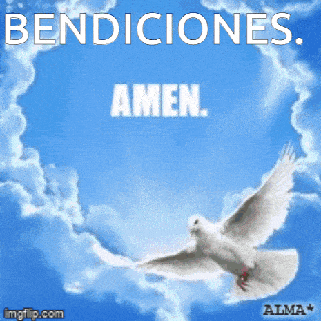a picture of a dove with the words bendiciones amen