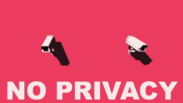 No Privacy GIF