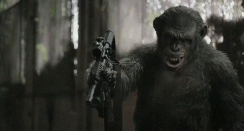 Ape And A Gun GIF - Koba Angry Dawn Of The Planet Of The Apes GIFs