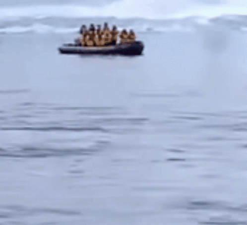 Penguin Escaping GIF - Penguin Escaping Boat GIFs