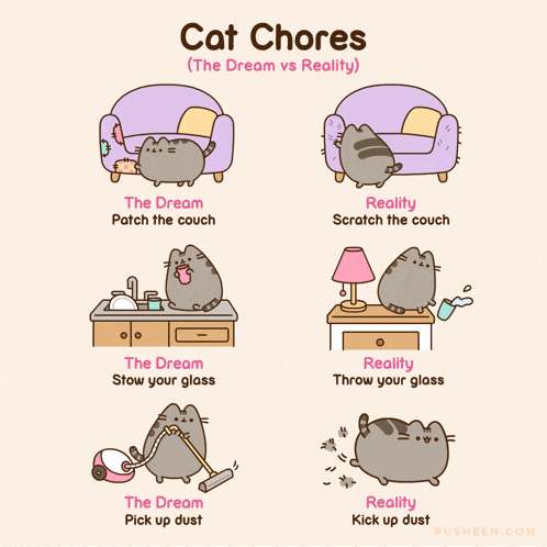 a cartoon of a cat with the words cat chores