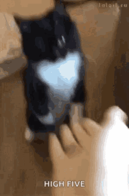 a black and white cat is being tickled by a person 's foot