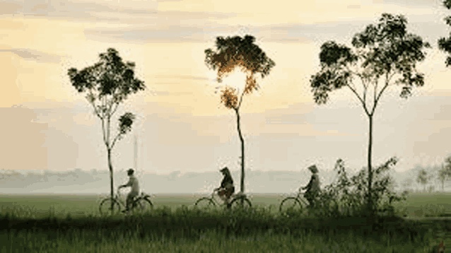 a group of people are riding bicycles in a field .