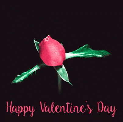 Happy Valentines Day Rose Blooming GIF
