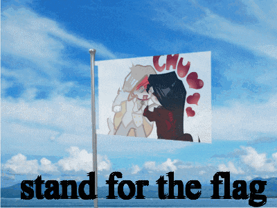 a poster that says " stand for the flag " on the bottom