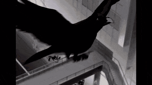 a black bird is flying in the air in a building .