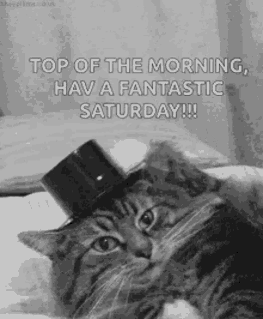 a cat wearing a top hat with the words `` top of the morning , have a fantastic saturday ! ''
