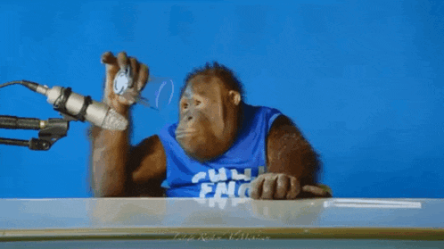 a chimpanzee wearing a shirt that says ' chill eng ' on it