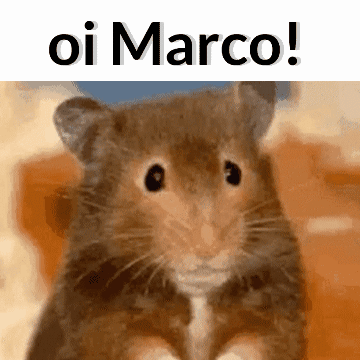 Marco Rato GIF - Marco Rato Rat GIFs