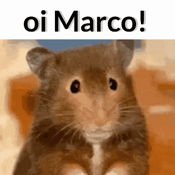 a close up of a hamster with the words " oi marco " written above it