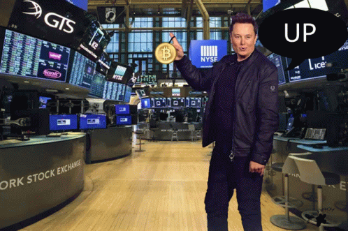 Elon Musk GIF - Elon Musk Bitcoin GIFs