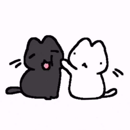 a black cat and a white cat are sitting next to each other .