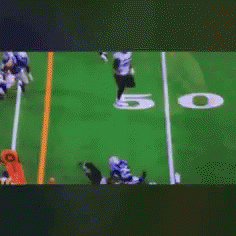 Colts Indianapolis GIF - Colts Indianapolis For The Col Ture GIFs