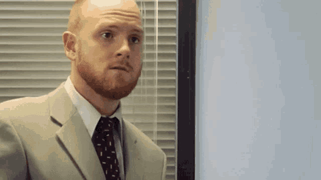a man in a suit and tie is standing in front of a window with blinds .