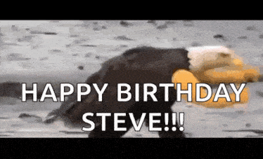 a bald eagle is holding a stuffed animal in its beak and says happy birthday steve