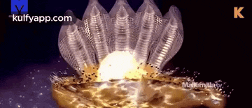 a close up of a shell with a light coming out of it .