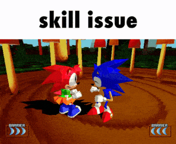 a screenshot of sonic the hedgehog and amy rose in a video game called skill issue