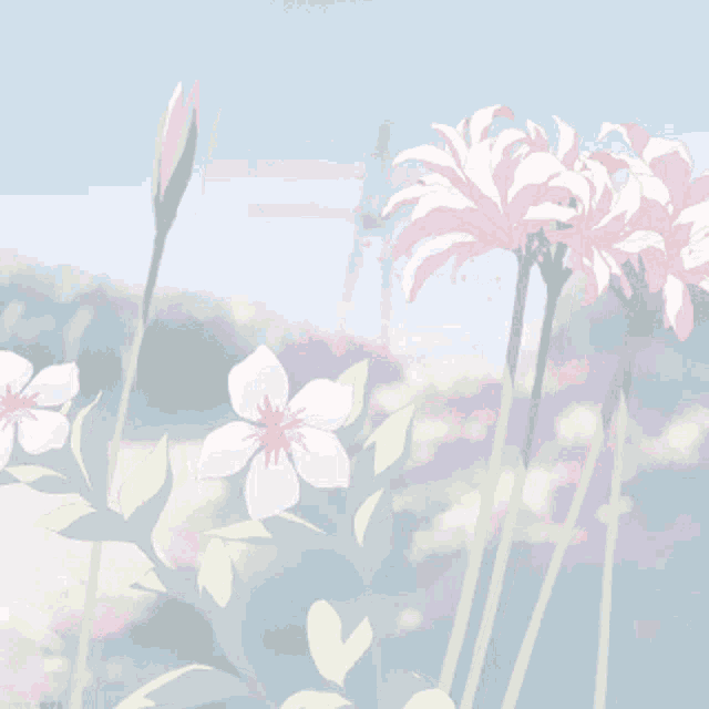 a bunch of pink and white flowers are growing in a field