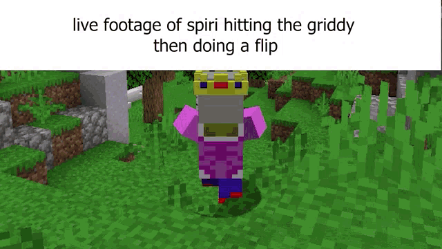 a screenshot of a video of a person in a minecraft game