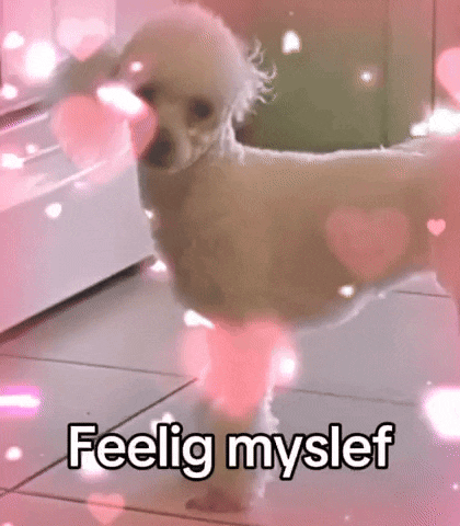 a small white dog is standing on its hind legs on a tiled floor with pink hearts around it .