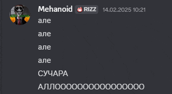 a screenshot of a person named mehanoid rizz