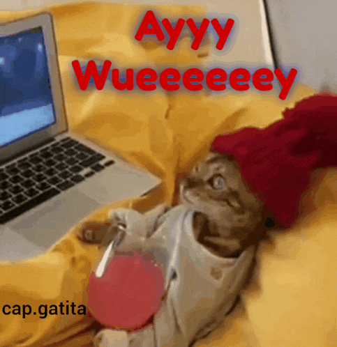 a cat wearing a red hat sits in front of a laptop with the words ayyy wueeeeey