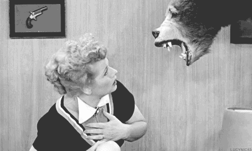 a black and white photo of a woman looking at a stuffed animal with the caption lucynice3