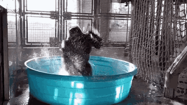 a monkey is taking a bath in a blue bowl of water .